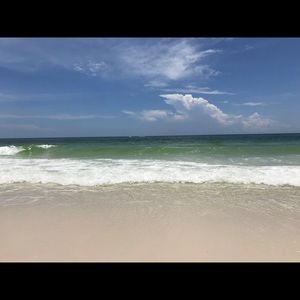 Meet your Posher, Griffin